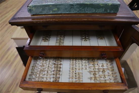 A Victorian mahogany and deal collector cabinet of moth specimens, by J.T Crockett & Son, W.52cm D.47cm H.135cm